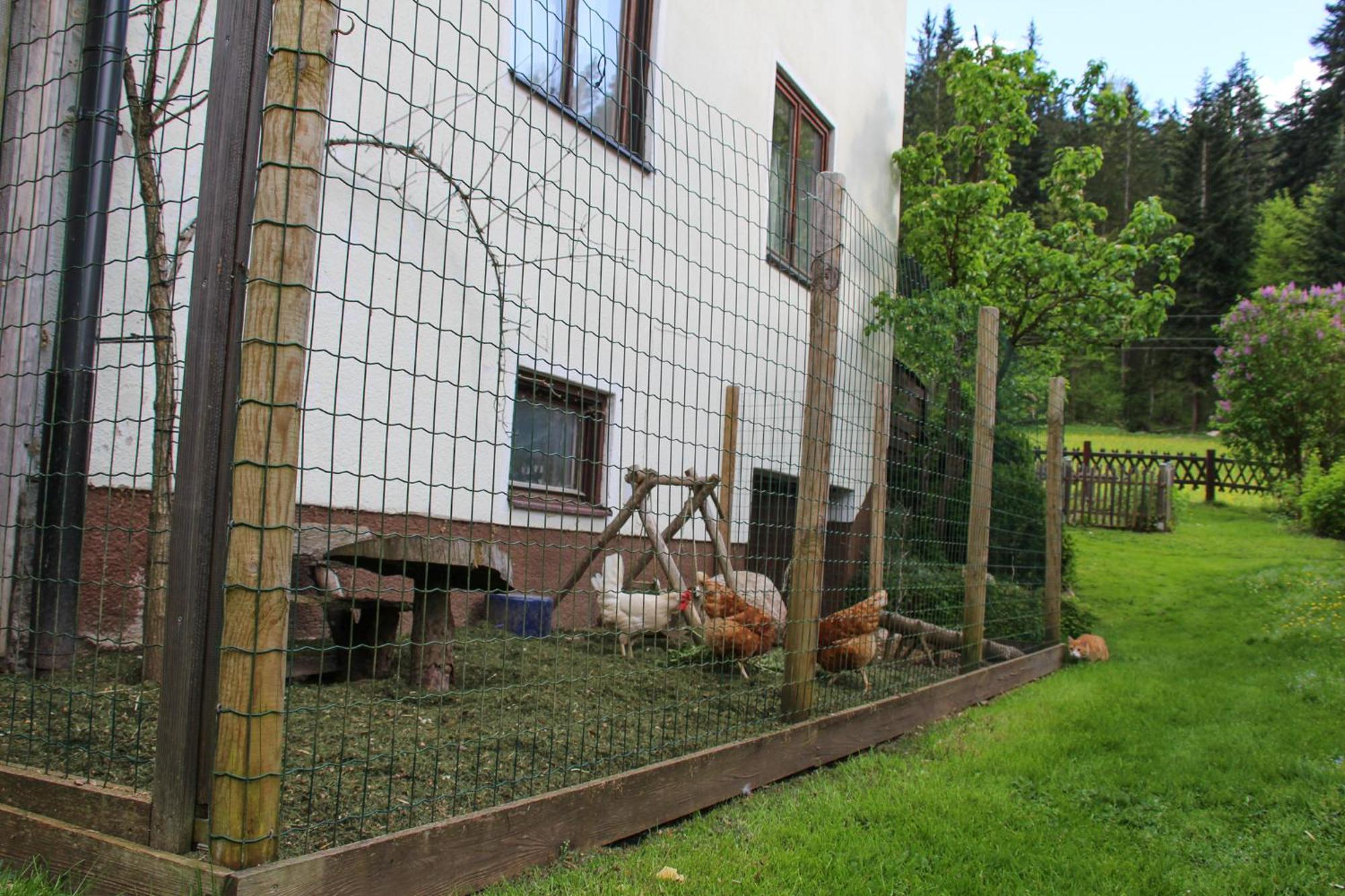 Ferienwohnung Frieda'S Platzl Abtenau Exterior foto